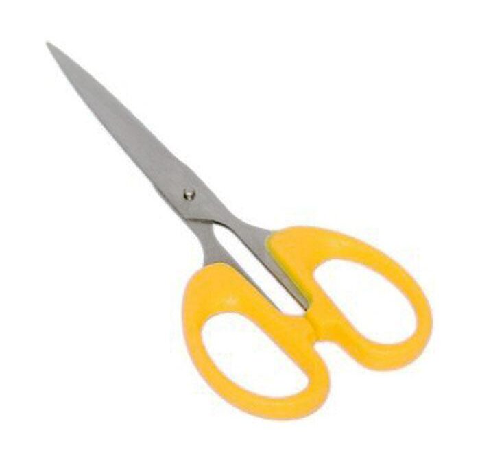 Aane Stainless Steel Scissors 6.5 Inch (AS002)