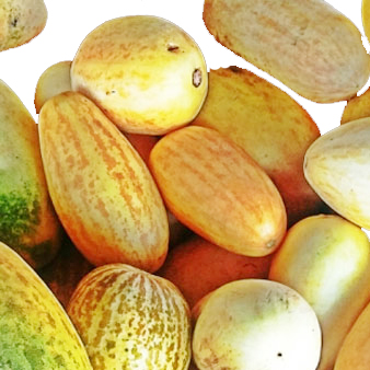 Kachra (काचरा) Fruits Vegetable (1kg)