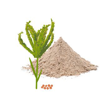 Ragi Atta - Finger Millet Flour (500g)